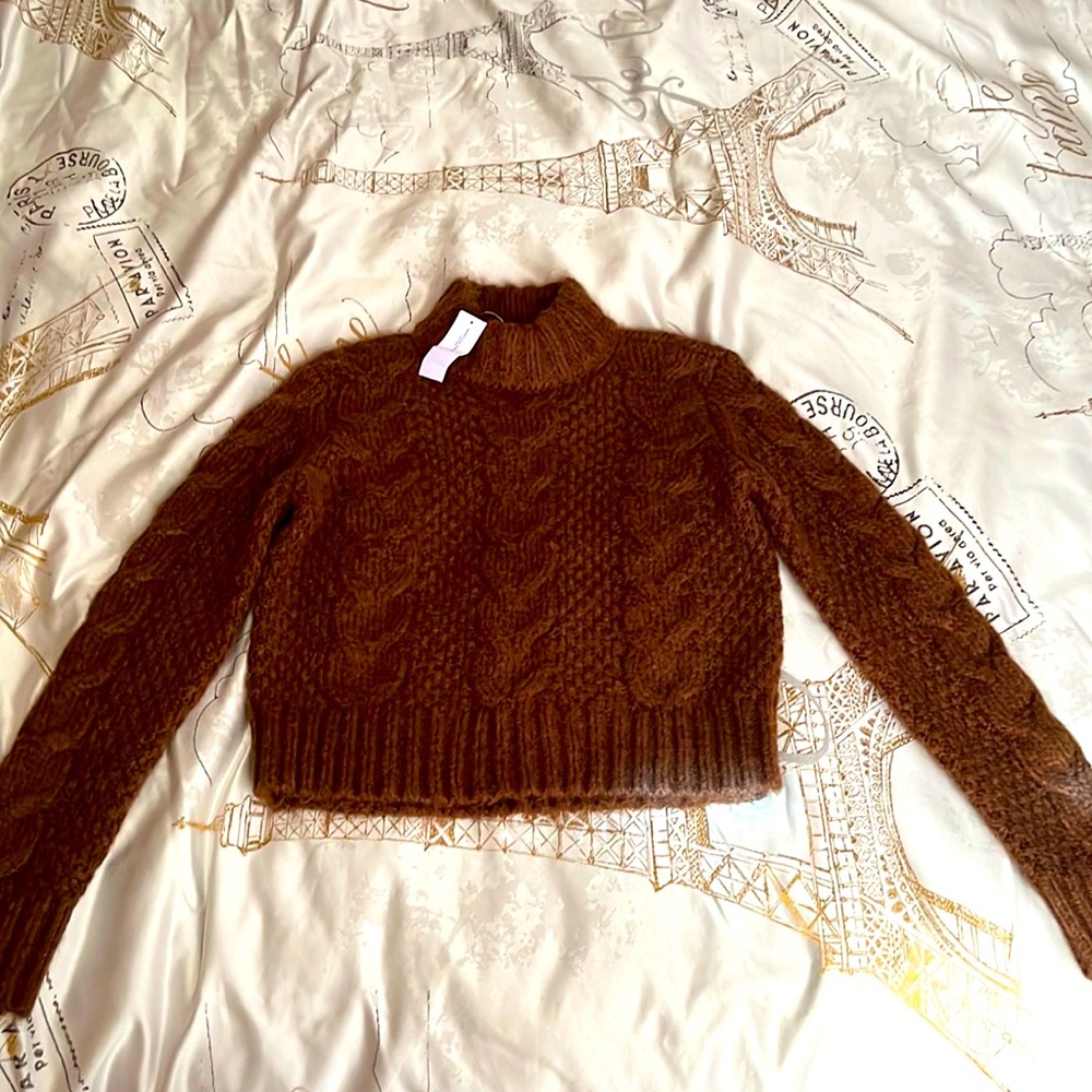 American Eagle - Turtle Neck Sweater (Brown)